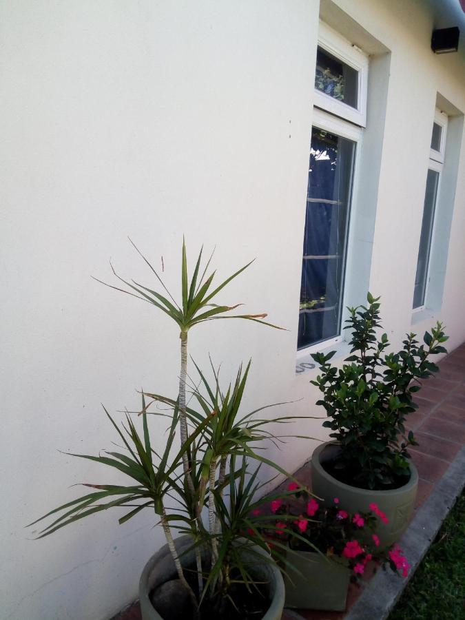 El Zohar 2 Pax Apartment Federacion Bagian luar foto